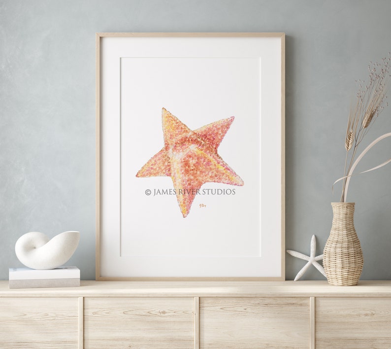 Op de afbeelding: Een ingelijst aquarel schilderij van een roze en oranje zeester op een witte achtergrond. Het schilderij is gesigneerd met "JAMES RIVER STUDIOS".
