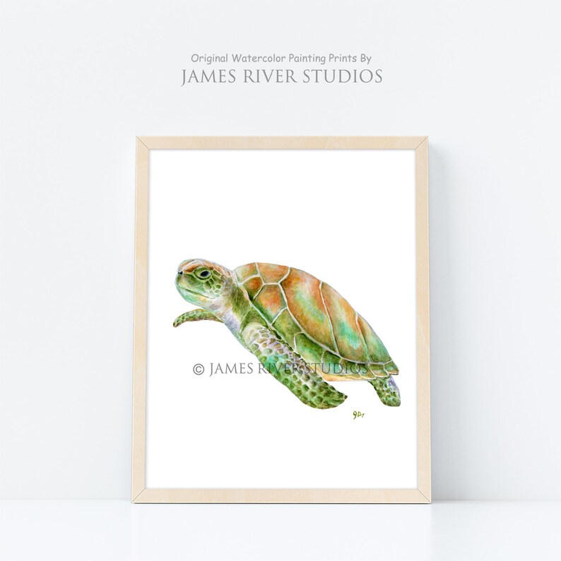 May include: Watercolor painting of a green sea turtle swimming. The turtle has a brown shell with green markings. The painting is framed in a light wood frame.