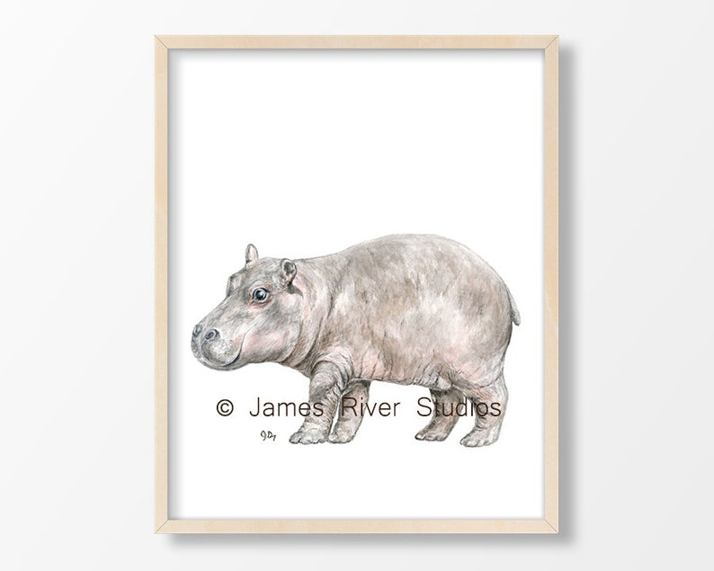 Hippo Art Hippo Painting Hippo Print Hippo Watercolor Painting Etsy