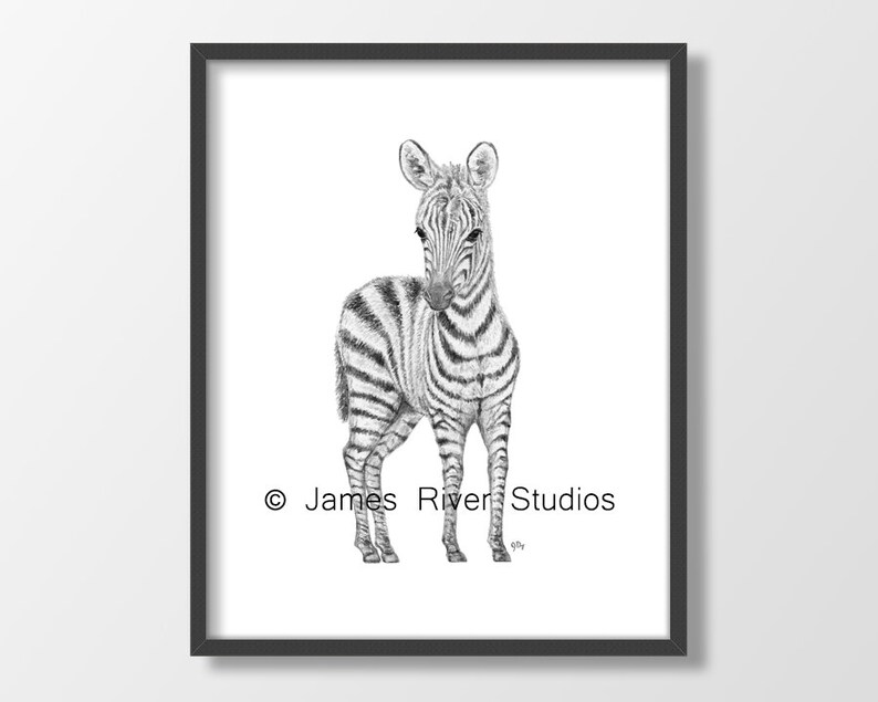 Black and White Nursery Prints Black White Nursery Art Safari Etsy