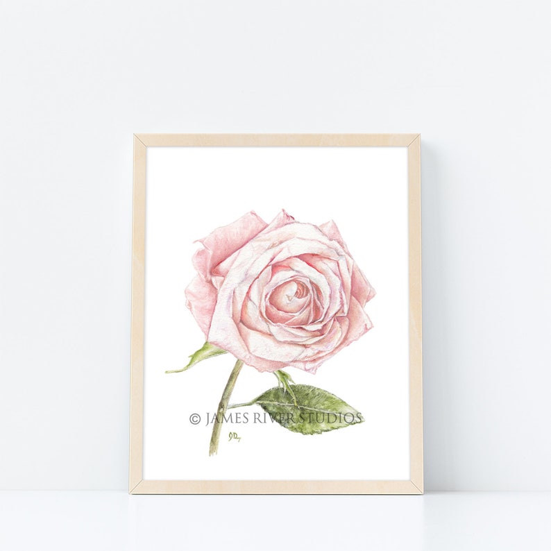 May include: A watercolor painting of a single pink rose with green leaves. The rose is in full bloom and the petals are soft and delicate. The painting is signed "James River Studios" in the bottom right corner.