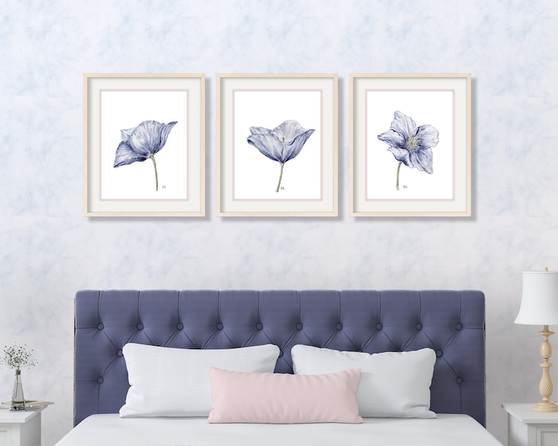 Puede incluir: Tres acuarelas enmarcadas de flores de amapola azules. Cada pintura presenta una sola flor de amapola sobre un fondo blanco.