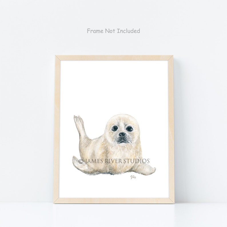 May include: Watercolor print of a baby seal with a light tan coat and dark eyes. The seal is lying down with its flippers extended. The print is in a light wood frame. The text "JAMES RIVER STUDIOS" is printed at the bottom.