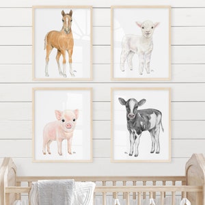 Puede incluir: Conjunto de cuatro ilustraciones de animales en acuarela en marcos. Las ilustraciones presentan un potro marr&oacute;n, un cordero blanco, un lech&oacute;n rosado y un ternero blanco y negro.