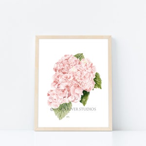 May include: A watercolor painting of a pink hydrangea flower with green leaves. The painting is framed in a light wood frame. The text "JAMES RIVER STUDIOS" is in the bottom right corner of the painting.