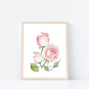 May include: A watercolour painting of three pink roses with green leaves and stems on a white background. The painting is signed "Y.D." and includes the text "JAMES RIVER STUDIOS".