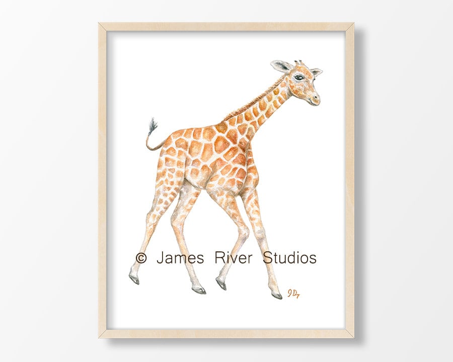 Zoo Animal Art Zoo Nursery Prints Whimsical Nursery Art Boy Etsy Australia