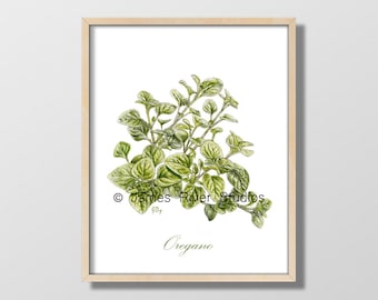 Oregano Art Oregano Print Oregano Painting Oregano Watercolor Oregano Wall Art Oregano Decor Kitchen Art Kitchen Print Herb Art Herb Print