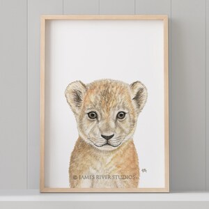 Safari Nursery Decor, Safari Nursery Prints, Baby Animal Prints for Nursery, Nursery Wall Art, Safari Animals Nursery Art, Set of 6 Prints image 7