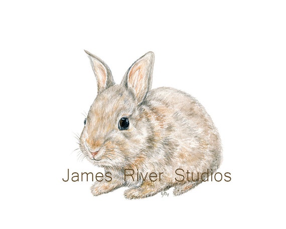 bunny rabbit art bunny rabbit print bunny rabbit watercolor etsy
