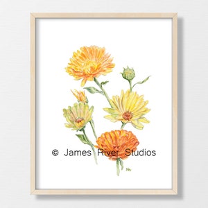 Yellow Flower Painting Flower Watercolor Flower Print Yellow Floral Painting Floral Watercolor Floral Prints Daffodil Coreopsis Mum Set of 3 image 5