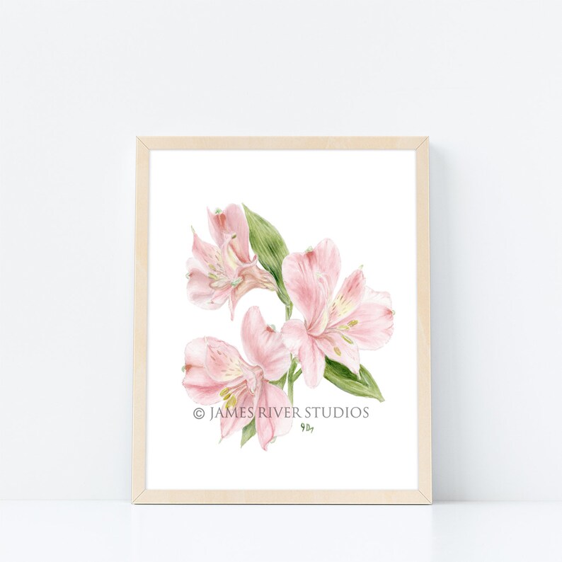 May include: A watercolor painting of pink alstroemeria flowers with green leaves. The painting is framed in a light wood frame and has the text "&copy; JAMES RIVER STUDIOS 90s" in the bottom right corner.