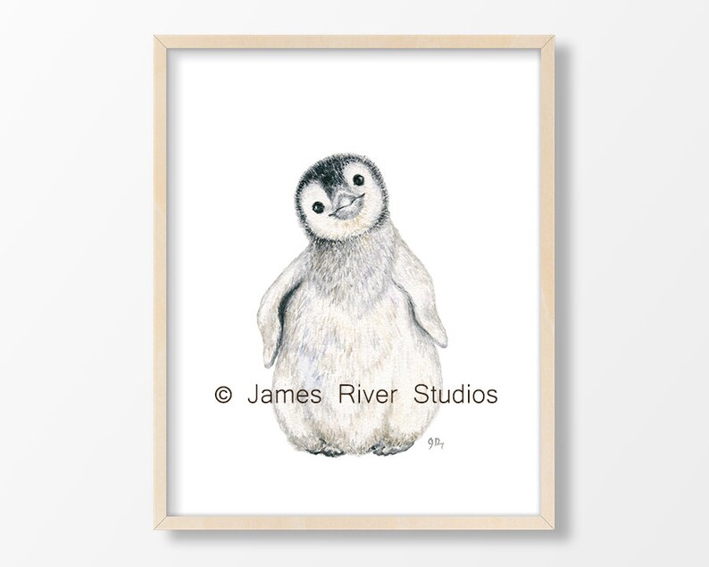 May include: A watercolor painting of a cute penguin chick with black eyes and a black beak. The penguin is standing on a white background with the text "&copy; James River Studios" below it.