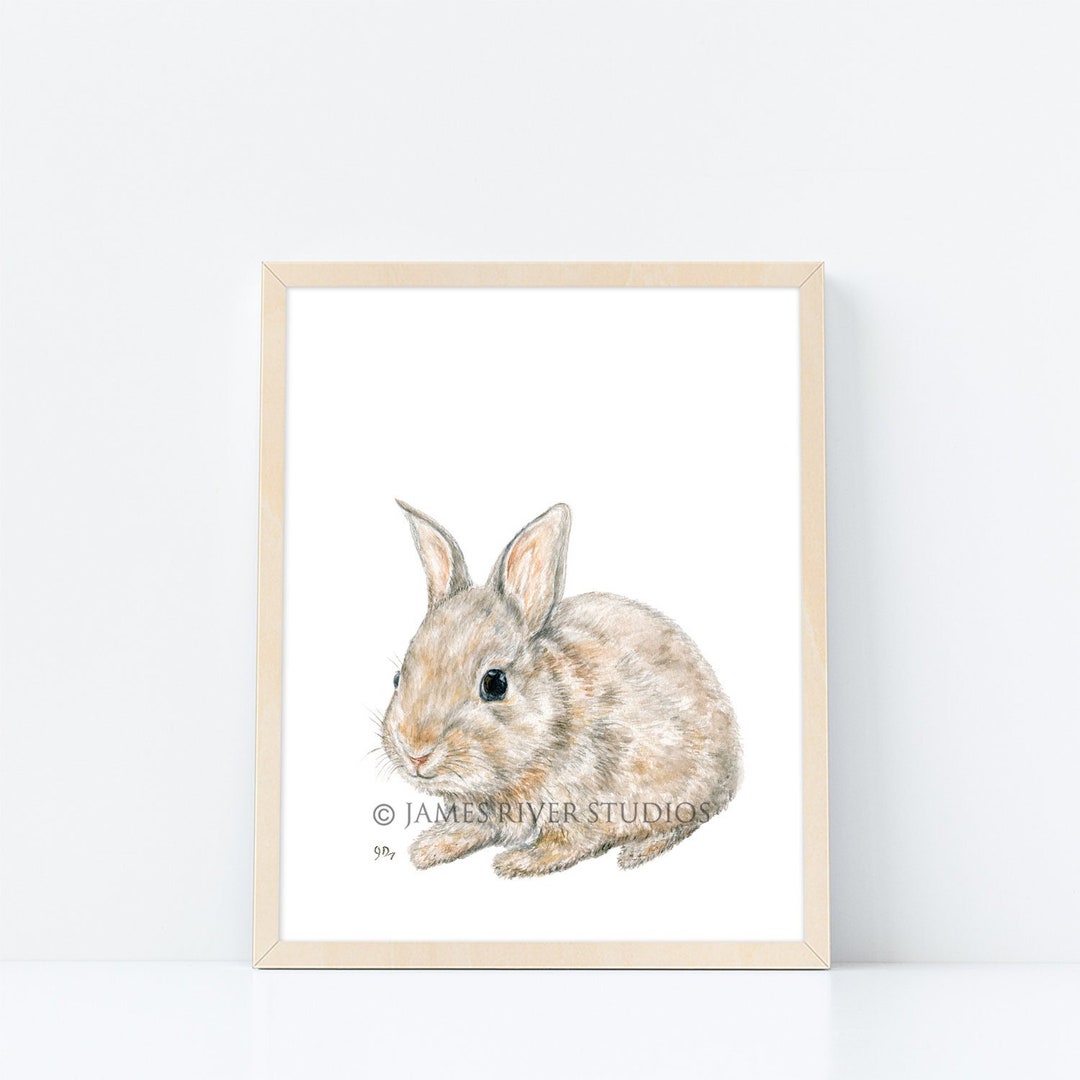 Bunny Rabbit Art Bunny Rabbit Print. Bunny Rabbit Watercolor Painting ...