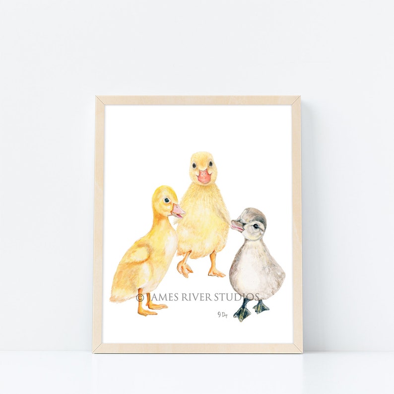 Puede incluir: Una pintura de acuarela de tres patitos. Dos patitos amarillos y un patito gris est&aacute;n de pie juntos. Los patitos est&aacute;n mirando al espectador. La pintura est&aacute; firmada "James River Studios".