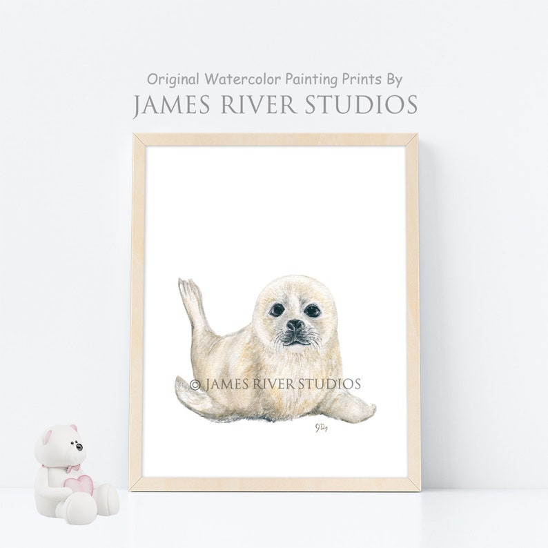 May include: A watercolor painting of a white baby seal with black eyes and a black nose. The seal is lying on its belly with its flippers outstretched. The painting is framed in a light wood frame.