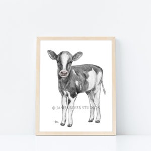 Puede incluir: Dibujo a l&aacute;piz en blanco y negro de un ternero de pie sobre un fondo blanco. El ternero tiene la nariz y las pezu&ntilde;as negras. El dibujo est&aacute; enmarcado en un marco de madera claro.