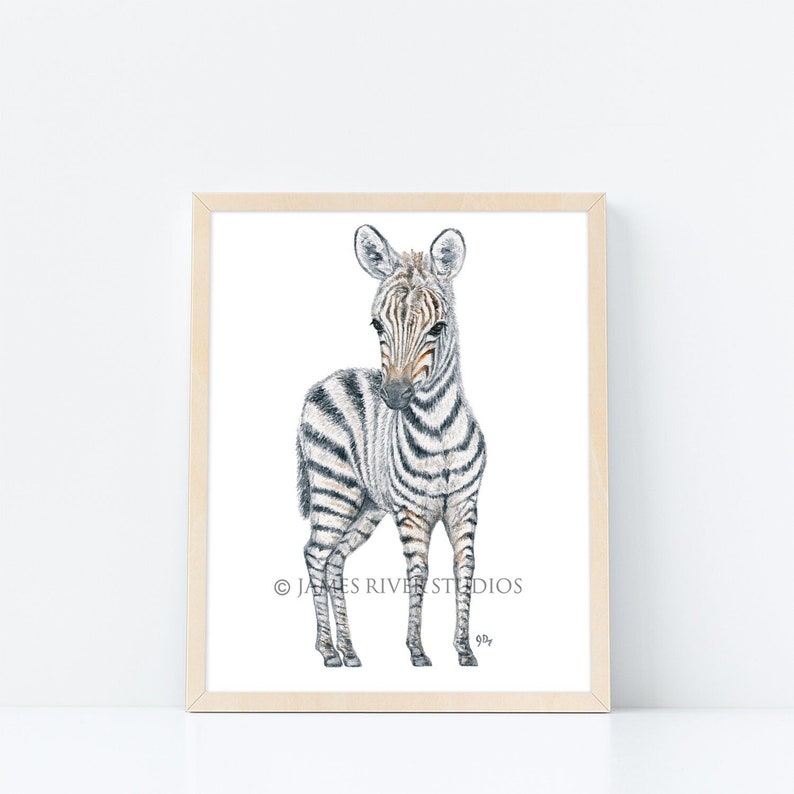 Zebra Art Zebra Painting Zebra Print. Zebra Watercolor Painting Animal Watercolor Animal Baby Zebra Nursery Art Zebra Safari Zebra Art Print image 1