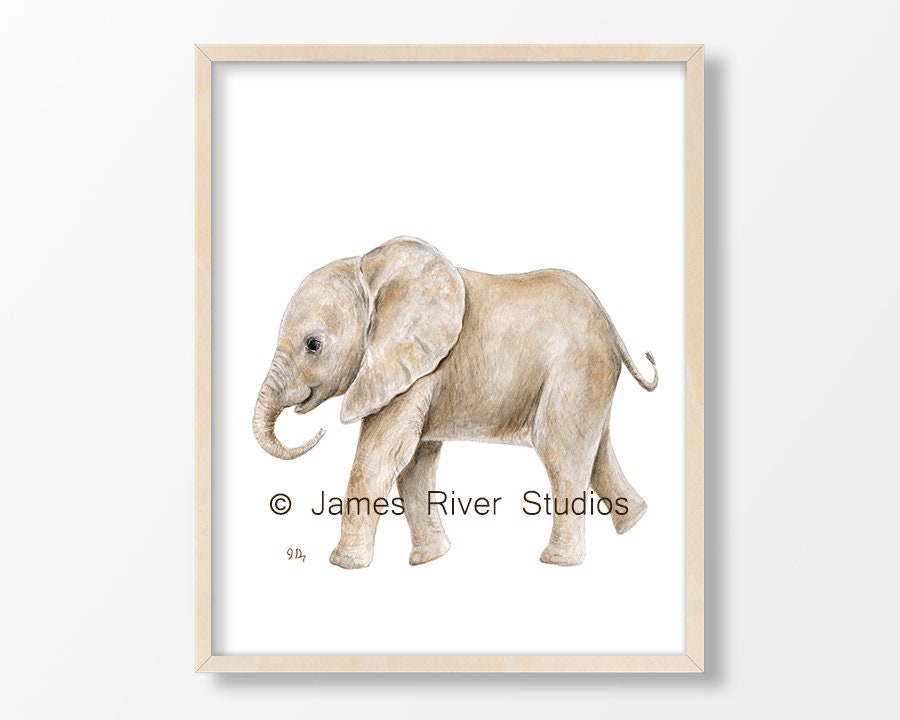 Zoo Animal Art Zoo Nursery Prints Whimsical Nursery Art Boy Etsy Australia