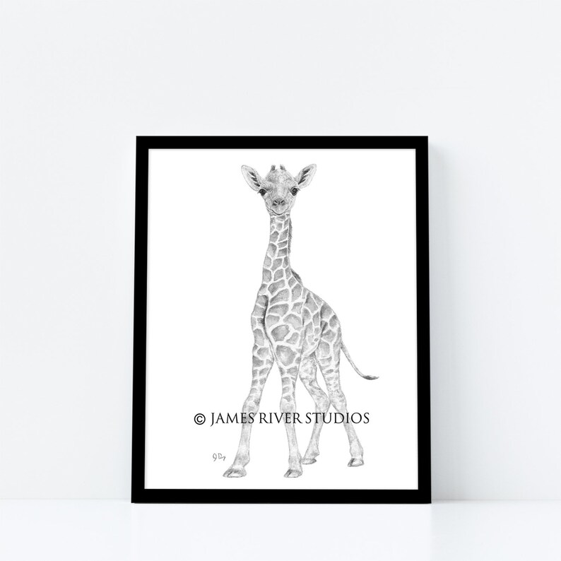 Black and White Nursery Prints Black White Nursery Art Safari Etsy