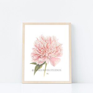 May include: A watercolour painting of a pink peony flower with green leaves. The painting is framed in a light wood frame and has the text "JAMES RIVER STUDIOS" and "92" in the bottom right corner.