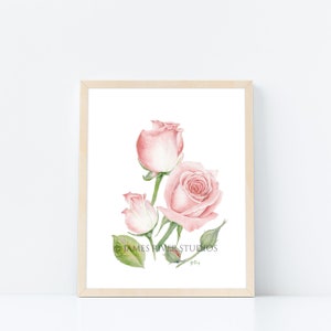 May include: A watercolor painting of three pink roses with green leaves and stems on a white background. The painting is signed "Y.D." and includes the text "JAMES RIVER STUDIOS".