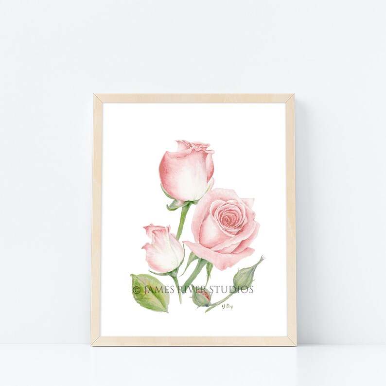 May include: A watercolor painting of three pink roses with green leaves and stems on a white background. The painting is signed "Y.D." and includes the text "JAMES RIVER STUDIOS".
