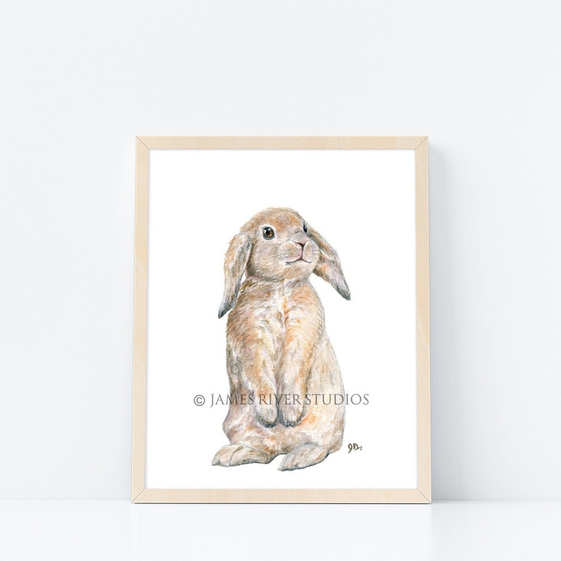 May include: A watercolor painting of a brown and white rabbit with floppy ears, sitting up on its hind legs. The rabbit is looking up with a curious expression. The painting is on a white background with the text "JAMES RIVER STUDIOS" and "gb." in the bottom right corner.