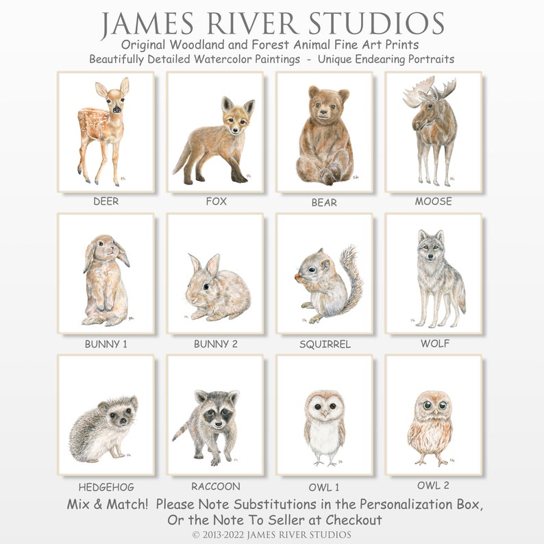 May include: A set of 12 watercolor paintings featuring woodland and forest animals. The animals include a deer, fox, bear, moose, bunny, squirrel, wolf, hedgehog, raccoon, and two owls. The paintings are beautifully detailed and would be perfect for a nursery or children's room.