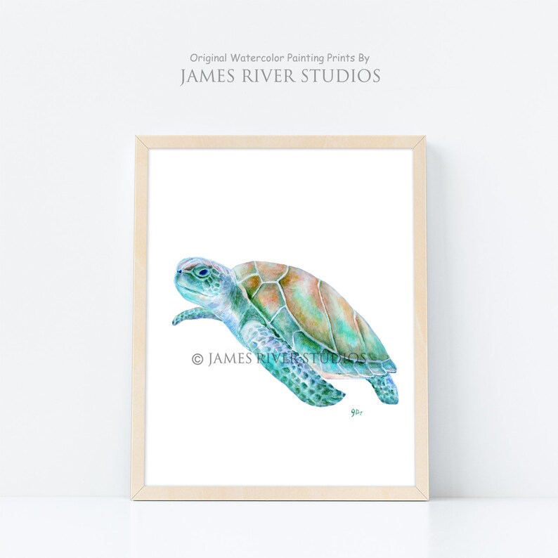 Puede incluir: Pintura acuarela de una tortuga marina nadando en el oc&eacute;ano. La tortuga est&aacute; pintada en tonos de azul, verde y marr&oacute;n. La pintura est&aacute; enmarcada en un marco de madera claro.