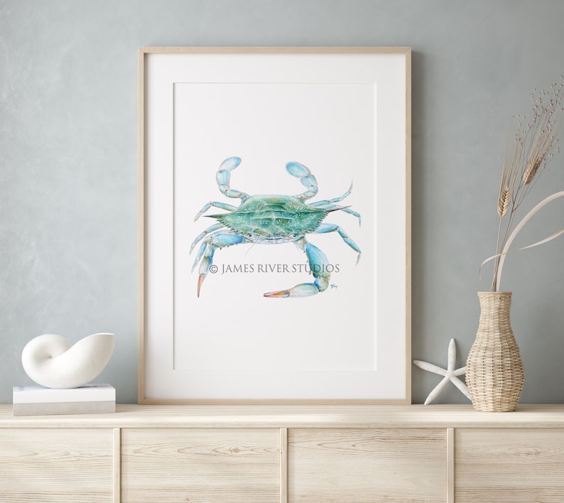 May include: A watercolor painting of a blue crab with orange claws on a white background. The painting is framed and has the text "&copy; JAMES RIVER STUDIOS" at the bottom.