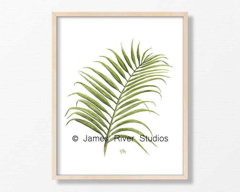 Tropical Leaf Art Botanical Prints Leaf Prints Leaf Paintings Leaves Watercolor Palm Leaf Print Fern Art Banana Leaf Wall Art Print Set of 4
