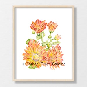 Yellow Flower Painting Flower Watercolor Flower Print Yellow Floral Painting Floral Watercolor Floral Prints Daffodil Coreopsis Mum Set of 3 image 6