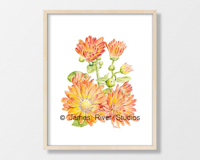 Yellow Flower Painting Flower Watercolor Flower Print Yellow Floral Painting Floral Watercolor Floral Prints Daffodil Coreopsis Mum Set of 3 image 6