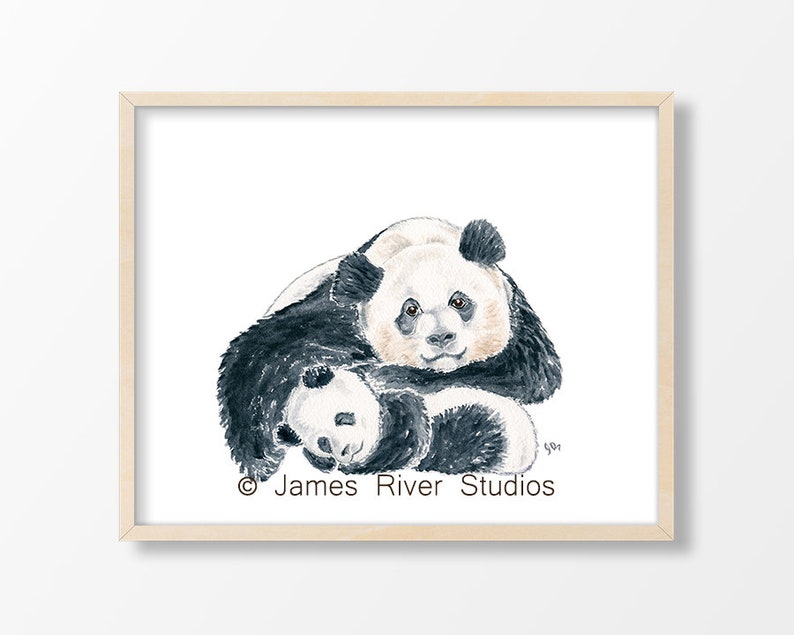 Pode incluir: Uma pintura em aquarela de um urso panda preto e branco abra&ccedil;ando um urso panda menor. A pintura est&aacute; sobre um fundo branco e tem o texto "James River Studios" na parte inferior.