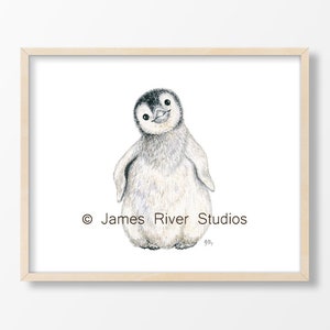 May include: A watercolor painting of a cute penguin chick with black eyes and a black beak. The penguin is standing on a white background and is looking to the right. The painting is signed "James River Studios".