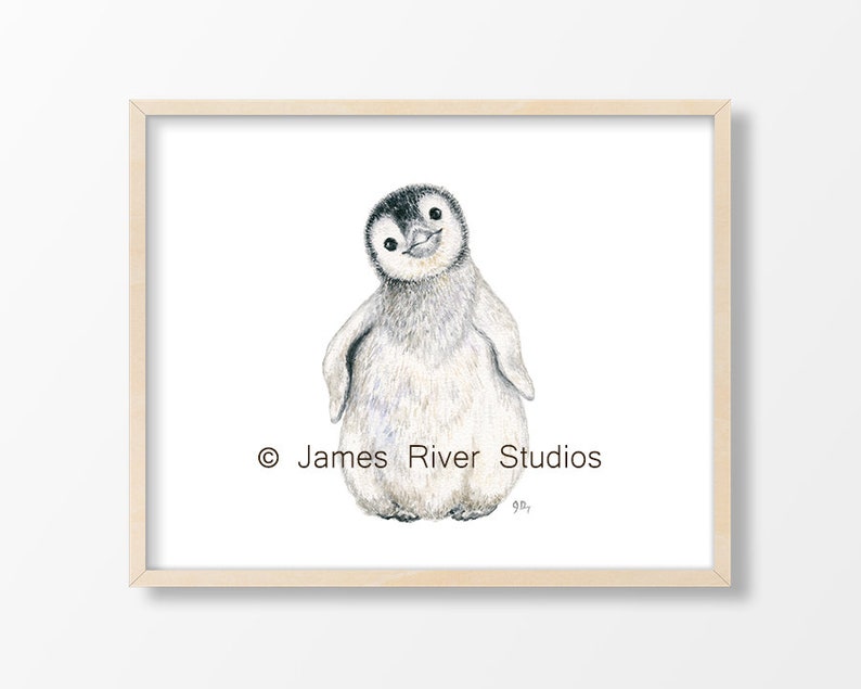 May include: A watercolor painting of a cute penguin chick with black eyes and a black beak. The penguin is standing on a white background and is looking to the right. The painting is signed "James River Studios".