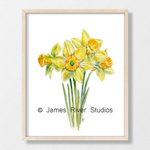 Yellow Flower Painting Flower Watercolor Flower Print Yellow Floral Painting Floral Watercolor Floral Prints Daffodil Coreopsis Mum Set of 3 image 4