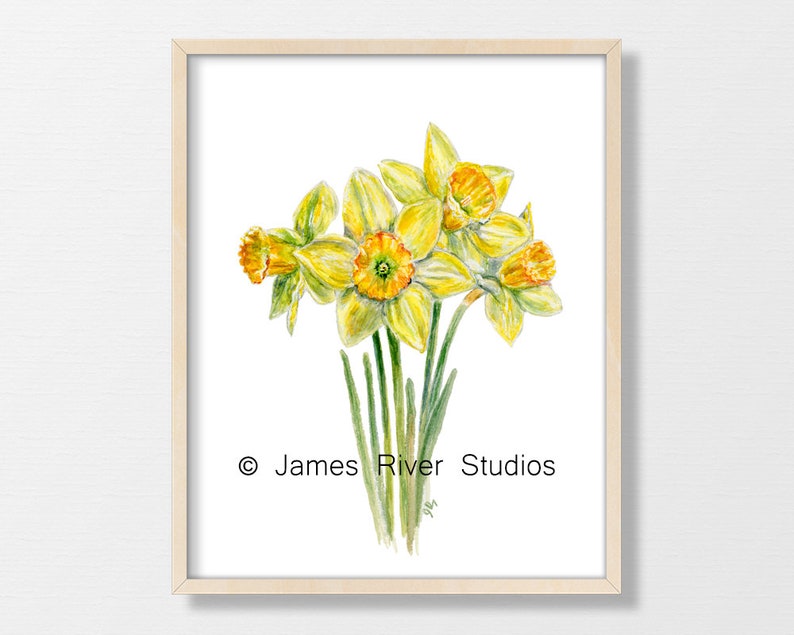Yellow Flower Painting Flower Watercolor Flower Print Yellow Floral Painting Floral Watercolor Floral Prints Daffodil Coreopsis Mum Set of 3 image 4