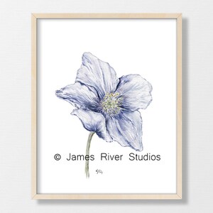 Puede incluir: Una pintura de acuarela de una sola flor azul con un centro blanco. La flor est&aacute; enmarcada en un marco de madera claro. La firma del artista es visible en la esquina inferior derecha de la pintura. &copy; James River Studios