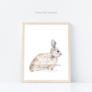 May include: Watercolor print of a white rabbit in a wooden frame. The artwork features a detailed illustration of the rabbit with soft, textured fur and long ears. The text "JAMES RIVER STUDIOS" is printed on the bottom left of the image. The frame is light brown.