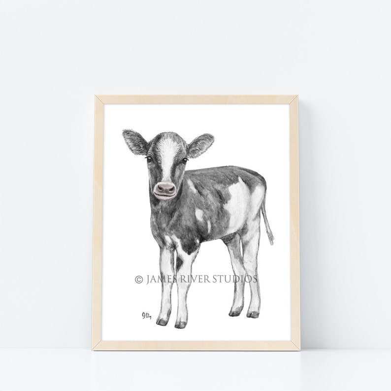 Puede incluir: Dibujo a l&aacute;piz en blanco y negro de un ternero de pie sobre un fondo blanco. El ternero tiene la nariz y las pezu&ntilde;as negras. El dibujo est&aacute; enmarcado en un marco de madera claro.