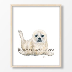 Seal Art Seal Painting Seal Print Seal Wall Art Seal Wall Decor Seal Decor Baby Seal Nursery White Seal Pup Arctic Watercolor Neutral Art
