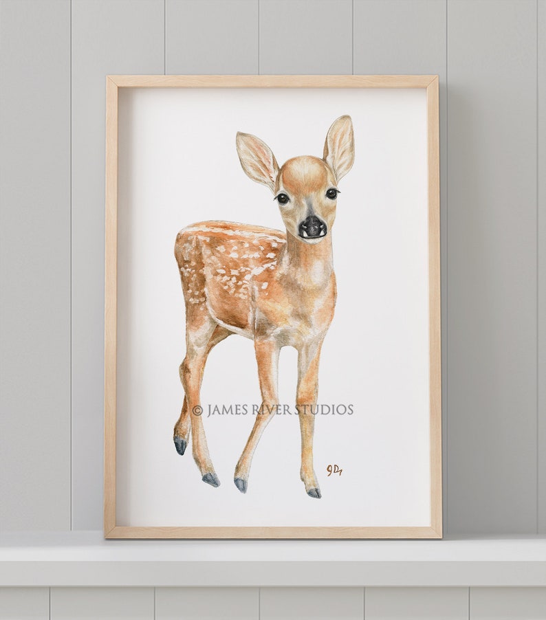 Woodland Nursery Decor, Woodland Nursery Prints, Baby Animal Prints for Nursery, Nursery Wall Art, Woodland Animals Nursery Art Set 6 Prints image 5