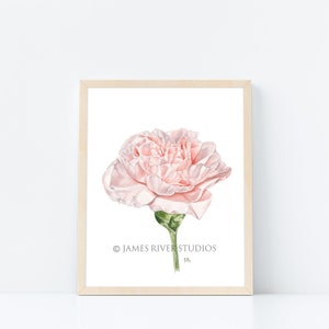 May include: A watercolor painting of a single pink carnation with a green stem. The painting is framed in a light wood frame and has the text "JAMES RIVER STUDIOS" and "90." at the bottom.