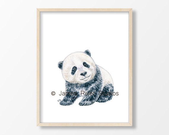 27 Pandas ideas  panda drawing, panda art, cute panda drawing