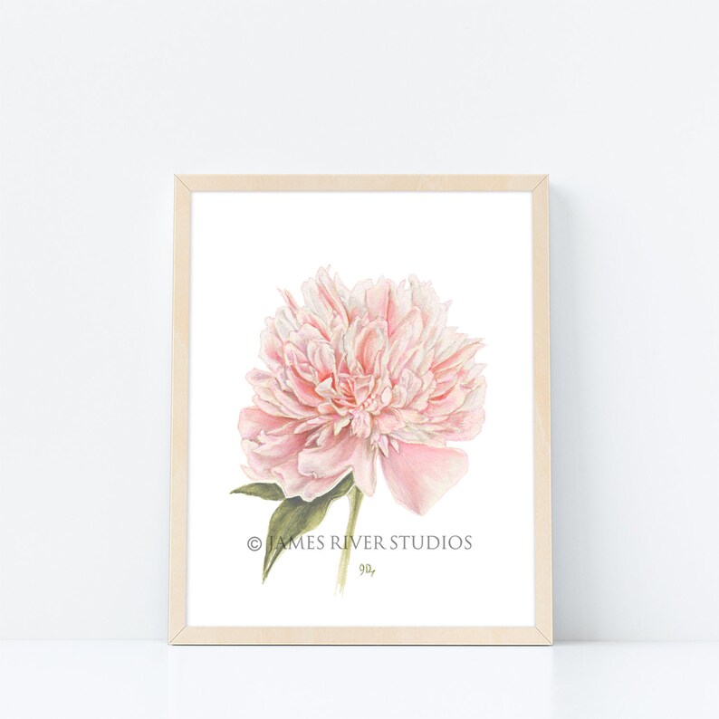 May include: A watercolor painting of a pink peony flower with green leaves. The painting is framed in a light wood frame and has the text "JAMES RIVER STUDIOS" and "92" in the bottom right corner.