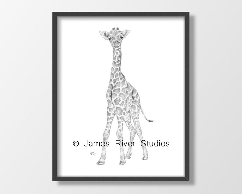 Black and White Nursery Prints Black White Nursery Art Safari Etsy