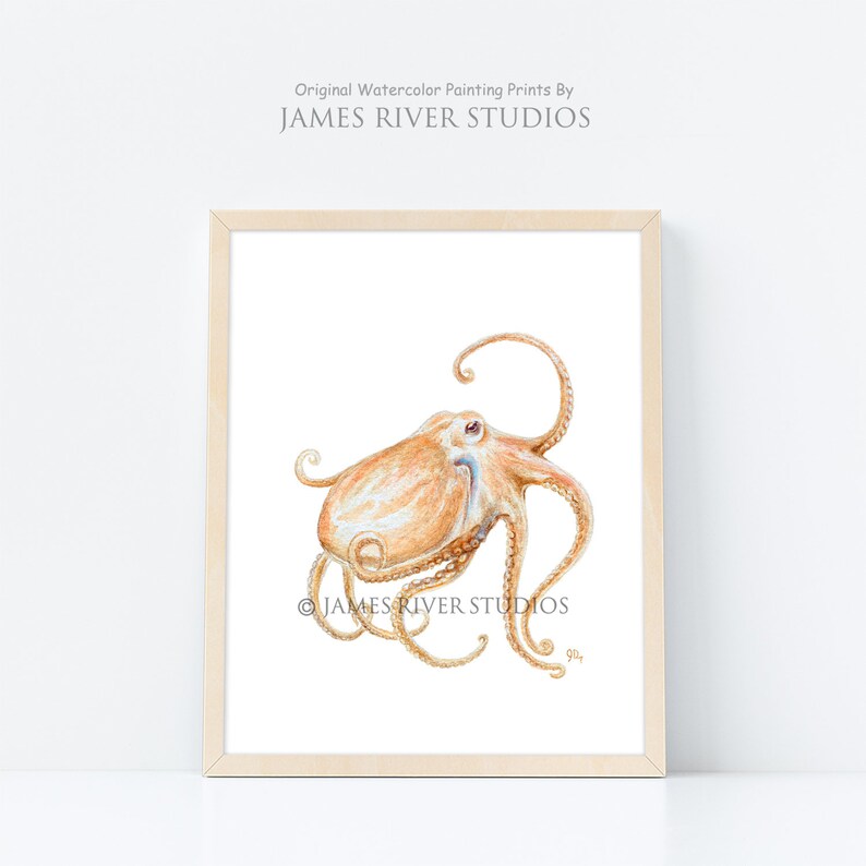 Puede incluir: Pintura acuarela de un pulpo naranja con tent&aacute;culos enroscados sobre un fondo blanco. La pintura est&aacute; enmarcada en un marco de madera clara. La firma del artista est&aacute; en la esquina inferior derecha.