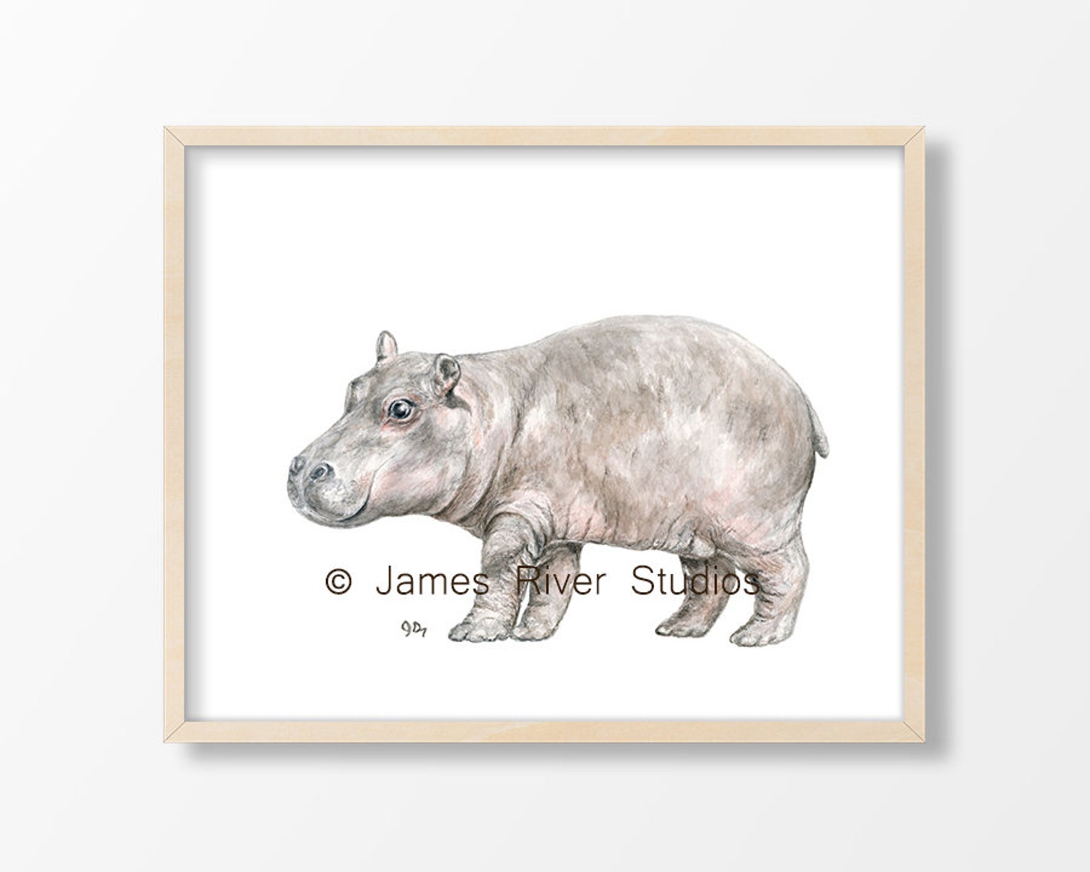 Hippo Art Hippo Painting Hippo Print Hippo Watercolor Painting Etsy